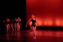 dsc_4572c.jpg