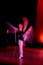 dsc_4575c.jpg