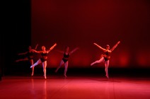 dsc_4597c.jpg