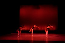 dsc_4614c.jpg