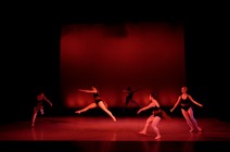 dsc_4617c.jpg