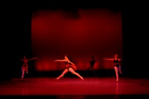 dsc_4622c.jpg