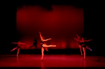 dsc_4623c.jpg