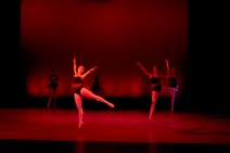 dsc_4625c.jpg