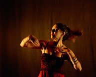 dsc_1396c.jpg
