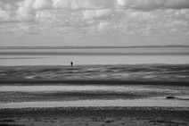 dsc_4090b.jpg