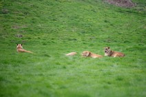 dsc_4563c.jpg