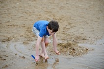 dsc_5233c.jpg