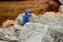 dsc_5327c.jpg