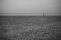 dsc_5389b.jpg