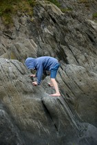 dsc_2329c.jpg