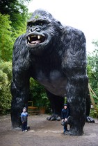 dsc_2562c.jpg