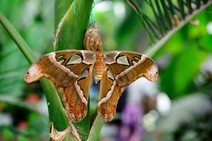 dsc_3180c.jpg