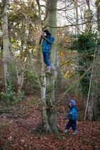 dsc_1153c.jpg
