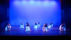 dsc_4399c.jpg