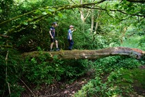 dsc_7315c.jpg