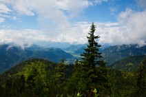dsc_5741c.jpg