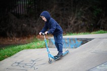 dsc_4460c.jpg