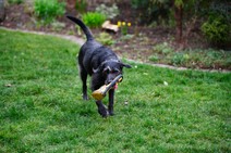 dsc_5824c.jpg