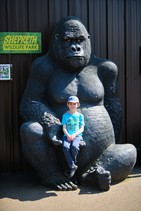 dsc_8976c.jpg