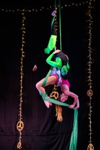 dsc_0356c.jpg