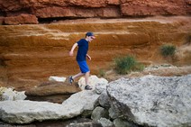 dsc_1700c.jpg