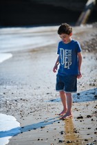 dsc_2517c.jpg