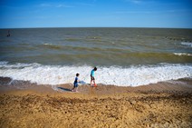 dsc_2546c.jpg