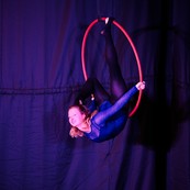 dsc_6001c.jpg