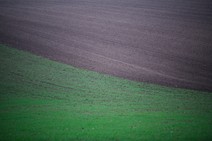dsc_9220c.jpg
