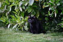 dsc_6418c.jpg