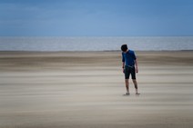 dsc_0310c.jpg