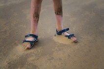 dsc_0326c.jpg