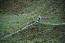 dsc_2194c.jpg