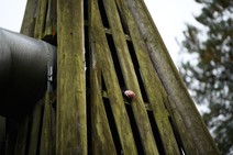 dsc_8055c.jpg