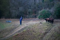 dsc_8860c.jpg