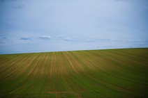 dsc_3805c.jpg