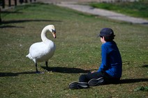 dsc_5893c.jpg