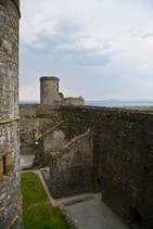 dsc_0392c.jpg