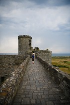 dsc_0396c.jpg
