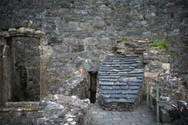 dsc_0407c.jpg