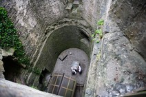 dsc_0409c.jpg