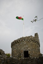 dsc_0414c.jpg