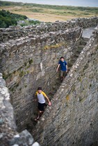 dsc_0419c.jpg
