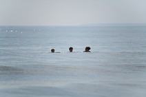 dsc_0509c.jpg