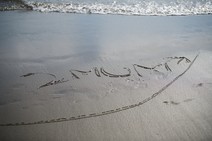dsc_0689c.jpg