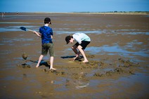 dsc_1616c.jpg