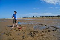 dsc_1652c.jpg