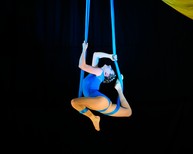 dsc_0684c.jpg
