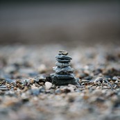 dsc_2472c.jpg
